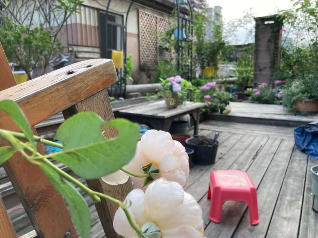 garden-afternoon