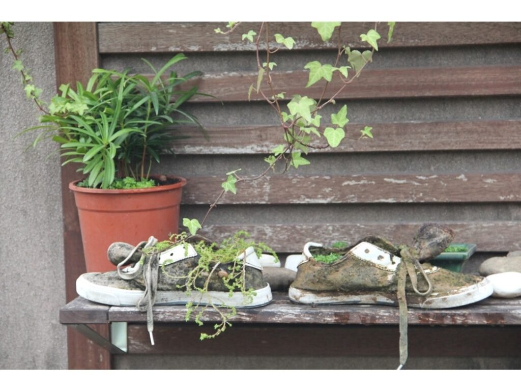 garden-shoe-container